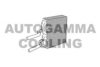 AUTOGAMMA 102452 Heat Exchanger, interior heating